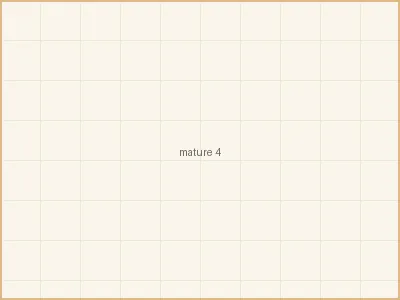 相关推荐温馨视频